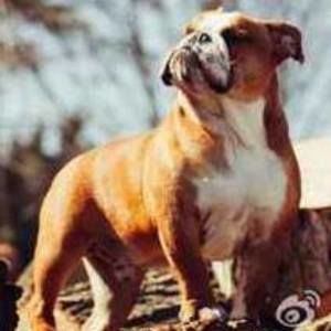 Meet your Posher, Lin